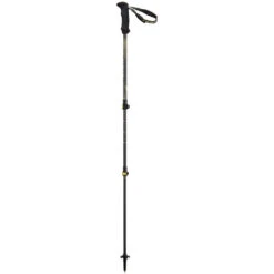 Camp Backcountry Carbon 2.0 Poles
