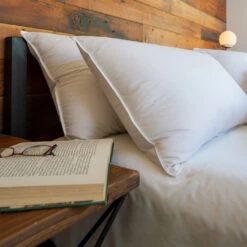 Feathered Friends Down Pillow - 700 Fill