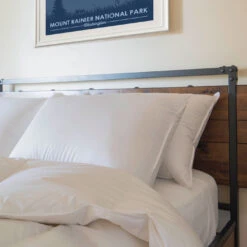 Feathered Friends Organic Down Pillow - 850 Fill