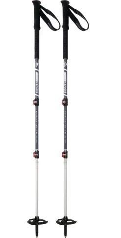 MSR DynaLock™ Explore Backcountry Poles