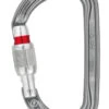 Petzl Am'D Carabiner -Feathered Friends Shop petzl amd screw lock carabiner